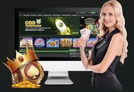 Tổng quan nền tảng sunwib bao gồm sportsbook, slot online và live casino trên mobile
